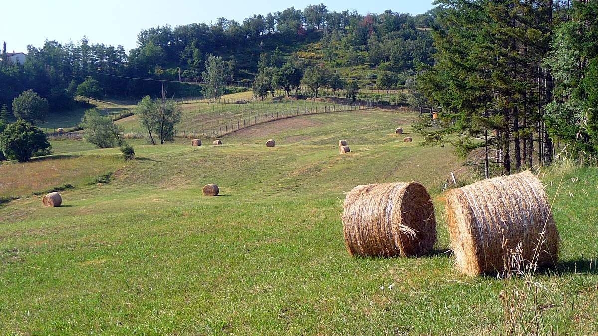 Agriturismo Poppiena Appartamento Esterni 5