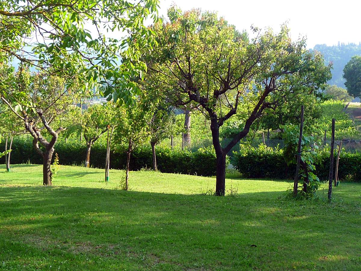 Agriturismo Poppiena Appartamento Esterni 7