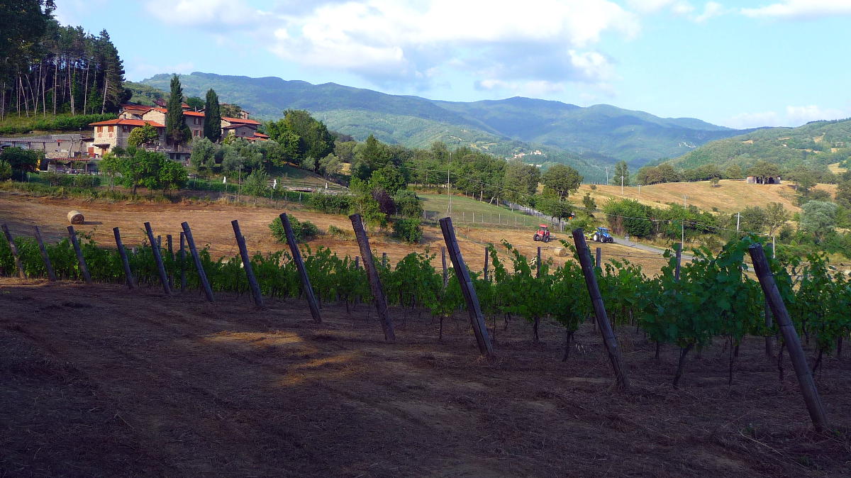 Agriturismo Poppiena Appartamento Esterni 9
